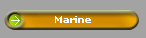 Marine