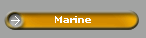 Marine